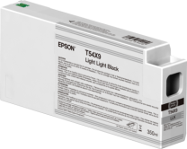 Epson Light Light Black T54X900 UltraChrome HDX/HD 350ml